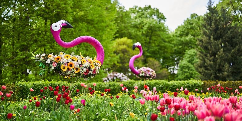 Весенний сезон открыт: в парке Спивоче открылась выставка цветов
