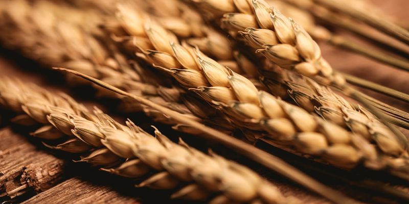 З України експортували 27,5 млн тонн зерна