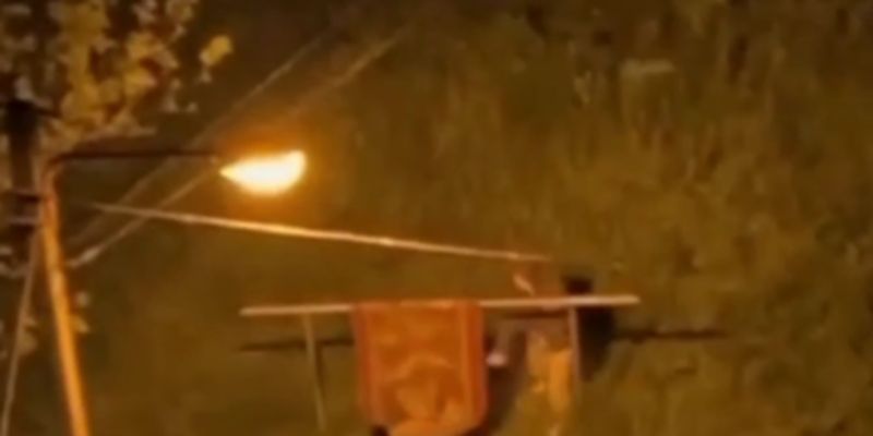 Время выбивать ковер: во Львове мужчина напугал соседей во время воздушной тревоги. Видео