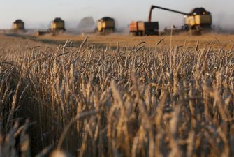 Скільки зерна продала Україна: свіжі цифри