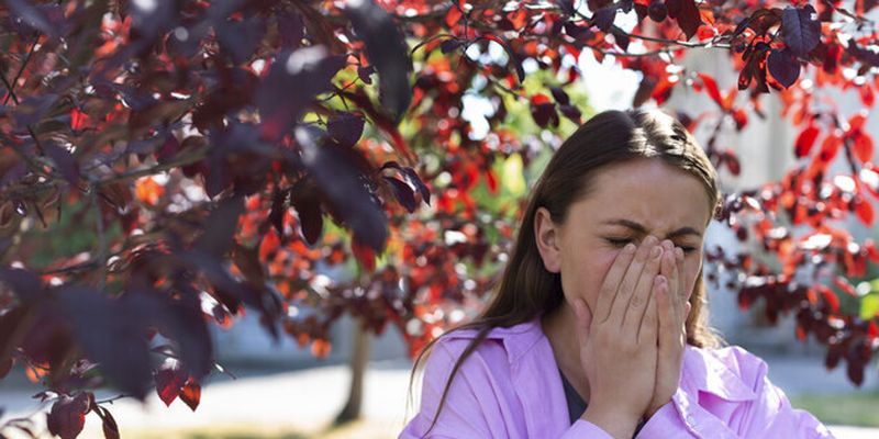 Сезонная аллергия: как ее распознать