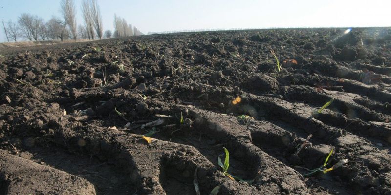 Разумков допустив запровадження ринку землі в Україні протягом року
