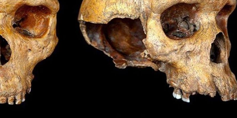 Ученым удалось разгадать тайну Родезийского человека, возрастом 500 тысяч лет