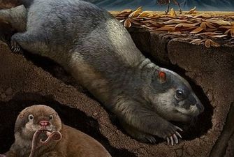 ​Ученые нашли неизвестные ранее виды животных - жили в Китае 120 млн лет назад: фото