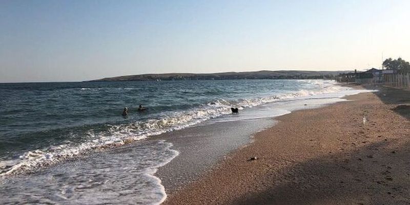 "Двое в море, не считая собаки": в Крыму показали мертвый "высокий сезон"
