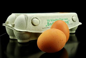 Українські виробники зможуть експортувати столові яйця до Ефіопії