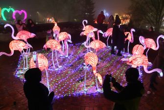 В центре Киева открывается фестиваль гигантских китайских фонарей