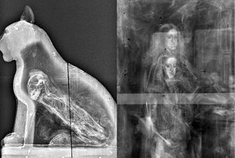 Подборка рентгеновских снимков, которые наглядно показывают, что от нас скрывает природа
