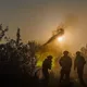 Цену квадратного километра в ОСУВ "Хортица" посчитали аналитики DeepState