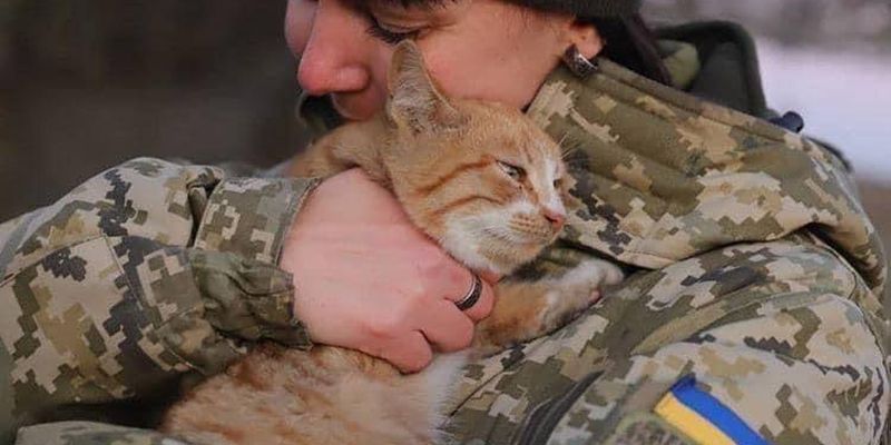 ​Украинские бойцы спасают жизни домашним животным: трогательные фото