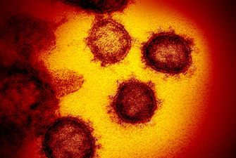 Эпидемиолог назвал панацею от злого китайского вируса