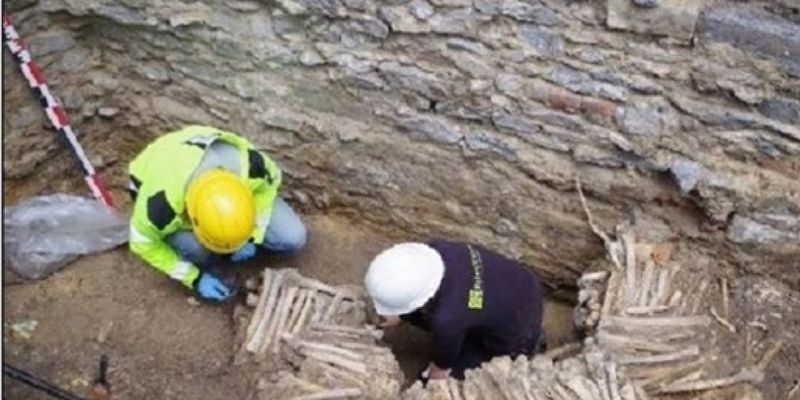 Стены из человеческих костей были обнаружены в Бельгии