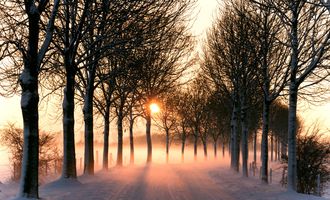 Прогноз погоды на 18 марта: в Украине будет солнечно, но ночью – мороз