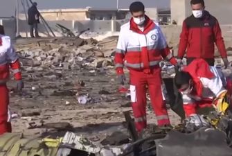 МИД обвинил Иран в манипуляции по делу авиакатастрофы под Тегераном