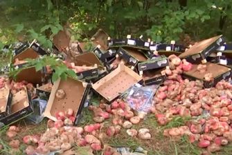 В Киеве стихийные торговцы выбросили ящики с испорченными фруктами среди деревьев в парке