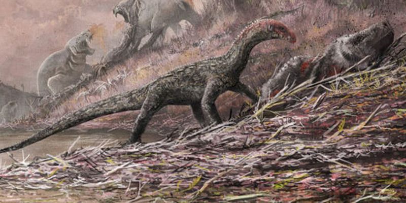 В Таиланде обнаружили останки нового вида динозавров