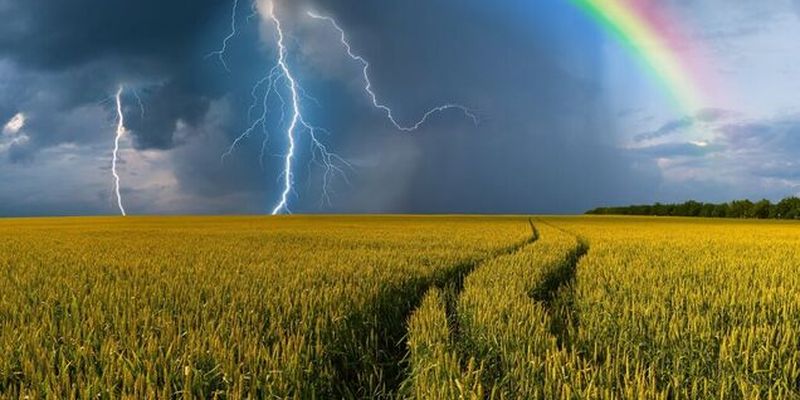 Украину зальет дождями: появился прогноз погоды на начало недели