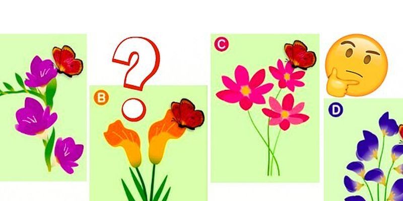 Тест: Выберите, на какой цветок сядет бабочка, а мы расскажем, кто в отношениях вам подходит