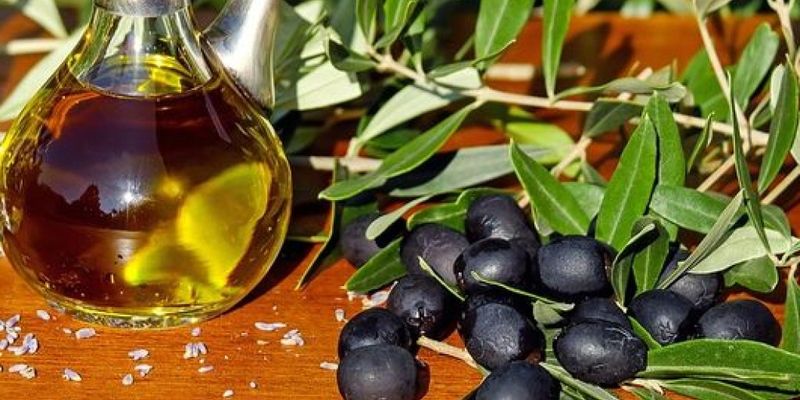 Американские эксперты назвали плюсы и минусы от употребления оливкового масла