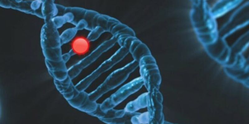 Найдены две генные мутации, которые могут вызвать редкое заболевание крови