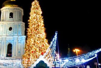 Высота - 12 метров: что известно о "незламной" елке, которую установят в центре Киева