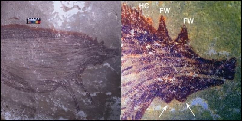 Археологи обнаружили древнейшее изображение животного