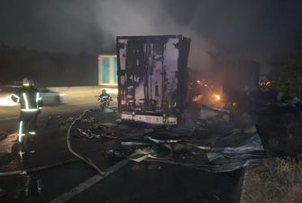 На трассе Киев - Одесса столкнулись два грузовика, один водитель сгорел