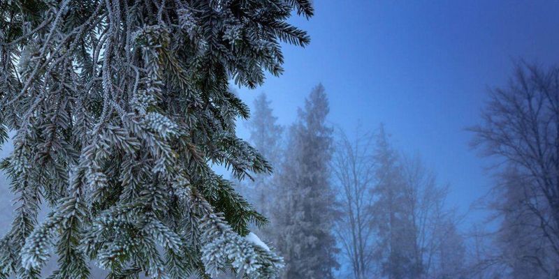 Погода на 26 января: в Украине будет облачно с прояснениями