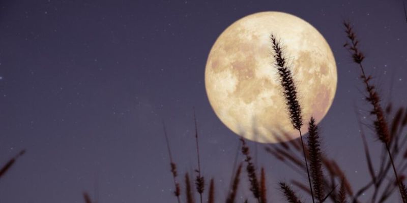 Нисходящая Луна несет много изменений: чего ожидать с 25 апреля по 7 мая