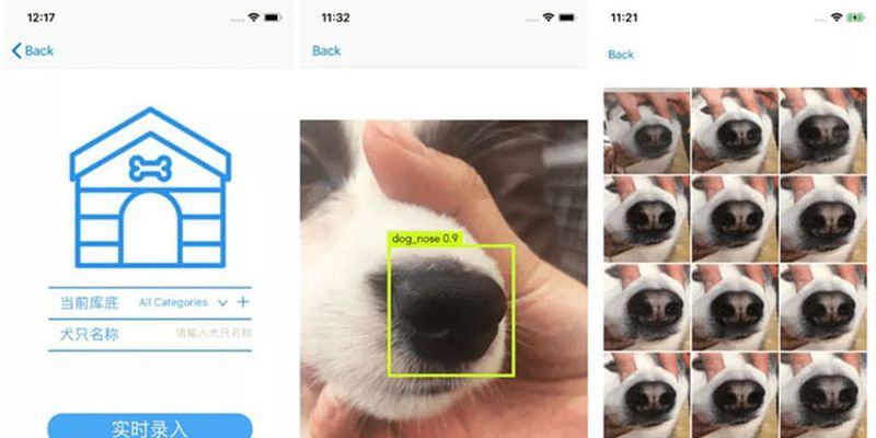 В Китае создают базу отпечатков носов собак
