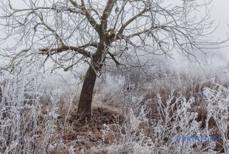 Когда и где ждать снег: синоптики дали прогноз до конца недели