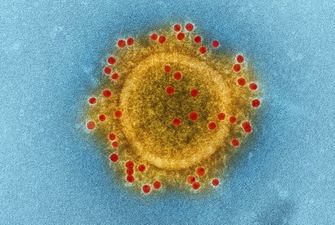 Коронавірус продовжує мутувати: наскільки це небезпечно