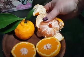 Чому не можна викидати мандаринові шкірки та як їх використовувати з користю