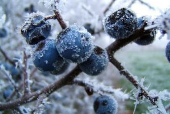 Зима близко: синоптики назвали даты похолодания в Украине