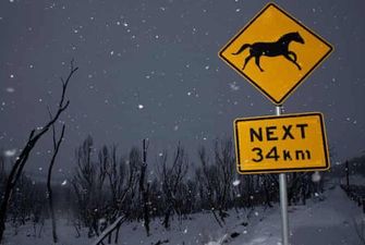 Австралию "атаковал" жуткий снежный шторм