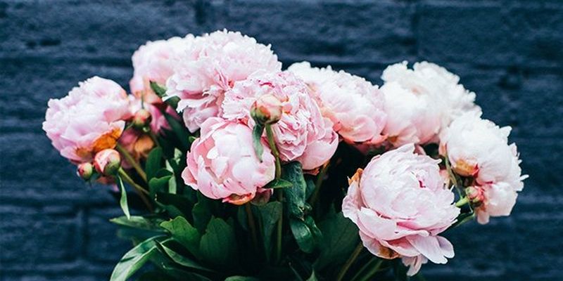 Откуда пошла традиция дарить женщинам цветы?