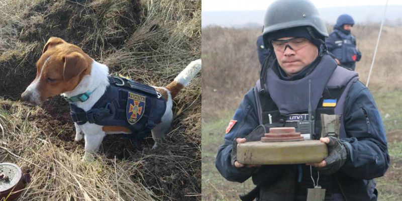 "Душа и талисман": как пес Патрон помогает украинским пиротехникам бороться с врагом 