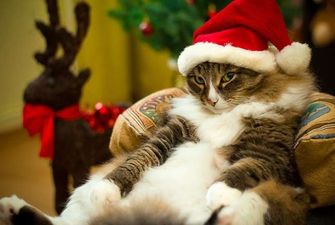 Різдвяні вихідні: скільки українці відпочивають на новорічні свята