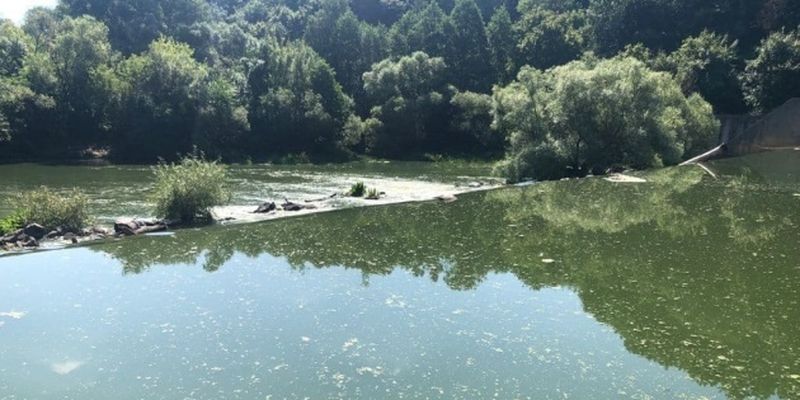 Загрязнение реки Тетерев в Житомире: Госэкоинспекция оценила убытки