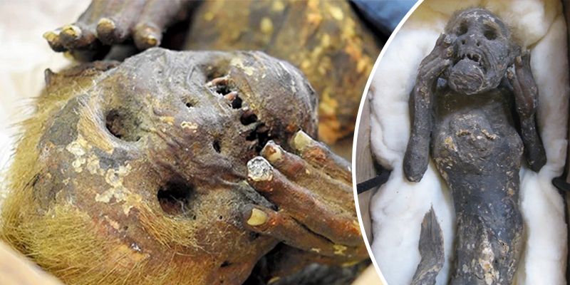 Ученые раскрыли тайну жуткой мумии-русалки с Японии