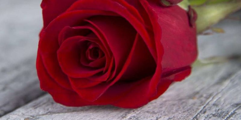 Зеленский подарил копу букет роз с инаугурации