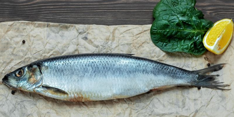 Как спасти рыбу, которая "переела соли": простые лайфхаки