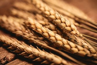 З України експортували 27,5 млн тонн зерна