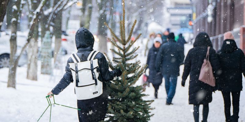 Морози вдень та дрібний сніг: у Київ скоро увірветься зима