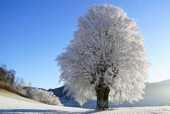 Зима хочет быть собой: синоптик рассказала о ближайшей погоде и назвала дату усиления морозов
