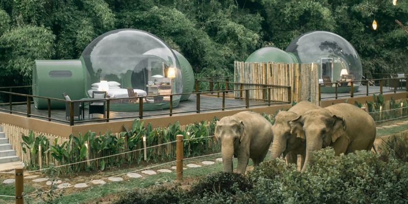 Гостиница в Таиланде предлагает жить по соседству со слонами