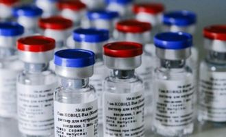 «Не соответствует минимальным критериям»: Бразилия не одобрила применение российской COVID-вакцины