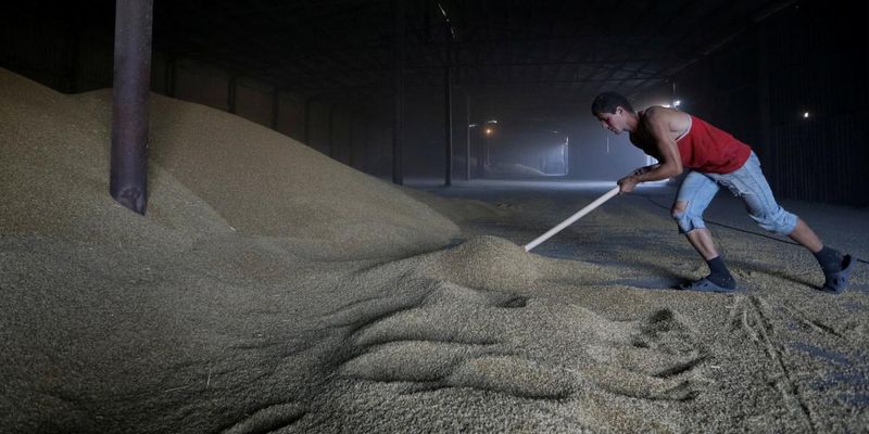 Україна збільшує експорт зерна на тлі рекордних врожаїв
