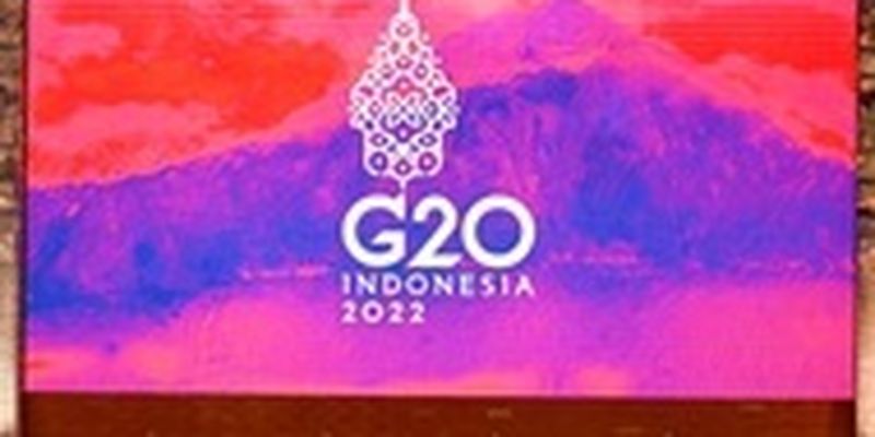 Половина G20 не поддерживают санкции против России - Bloomberg