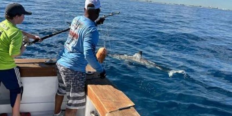У США 12-річний хлопець зловив велику білу акулу під час риболовлі
